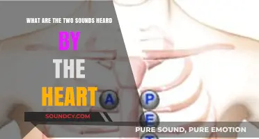 Decoding the Heart's Whispers: Understanding the Two Vital Sounds