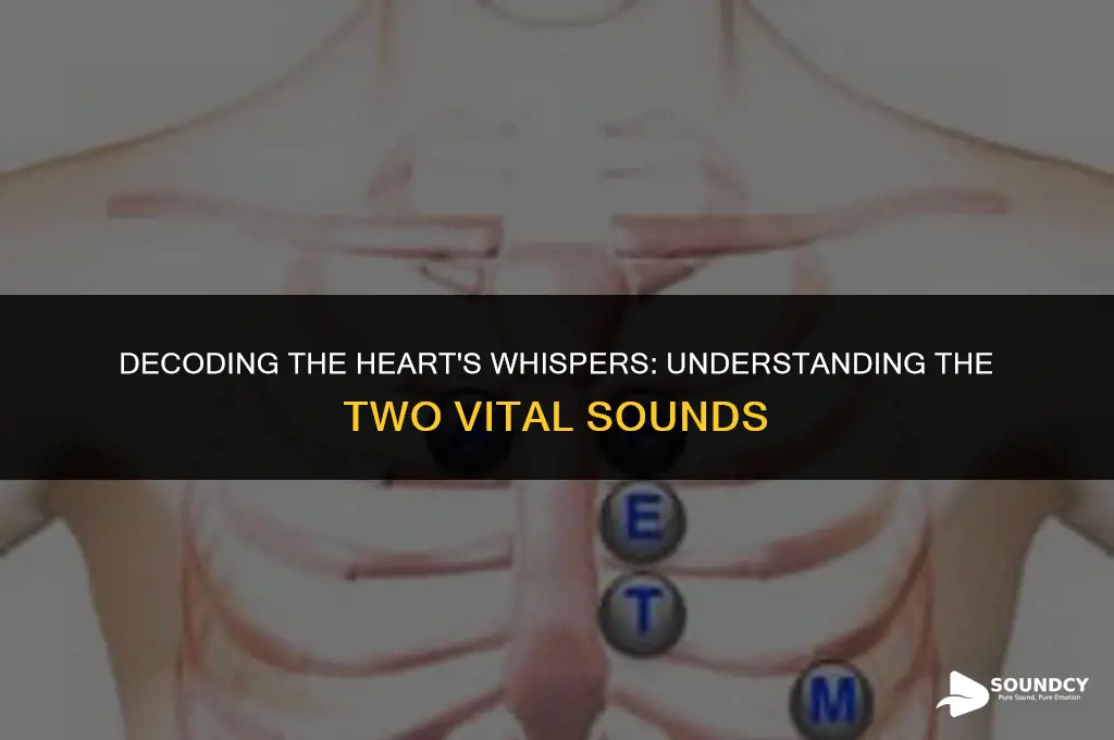 what are the two sounds heard by the heart