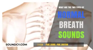 Understanding Respiratory Health: Exploring the Two Types of Normal Breath Sounds