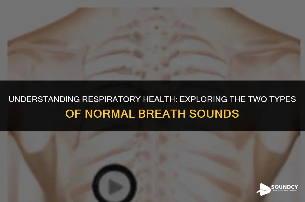 what are the two types of normal breath sounds