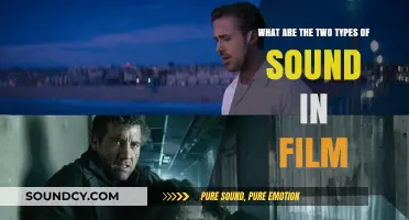 Exploring the Sonic Landscape: Two Essential Types of Sound in Film
