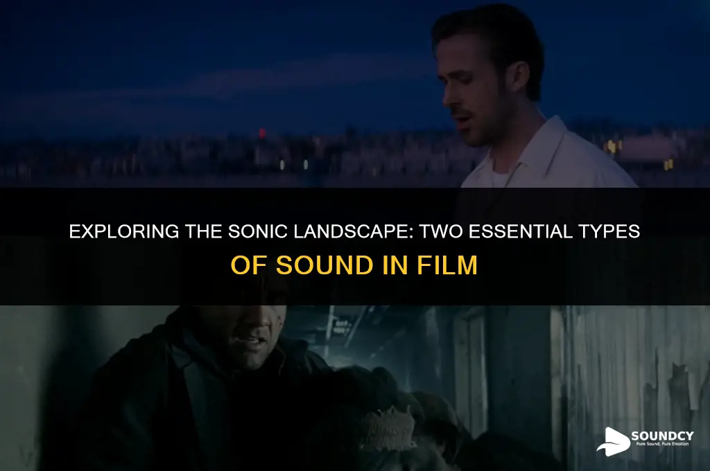 what are the two types of sound in film