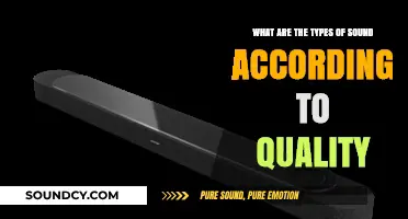 Exploring the Spectrum: A Guide to Sound Quality Types