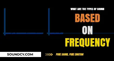Exploring the Spectrum: A Guide to Sound Frequency Types