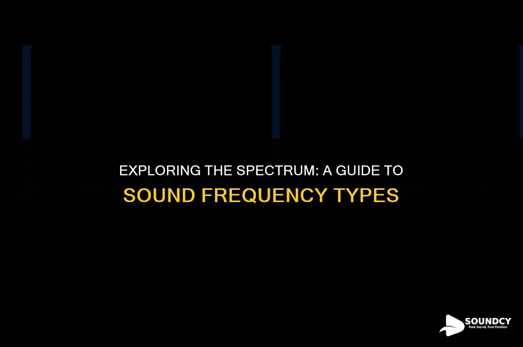 what are the types of sound based on frequency