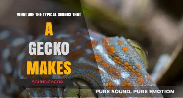 Exploring the Unique Vocalizations of Geckos: A Sonic Journey