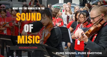 Exploring the Sonic Nuances: What Are the Vancelts in Music?