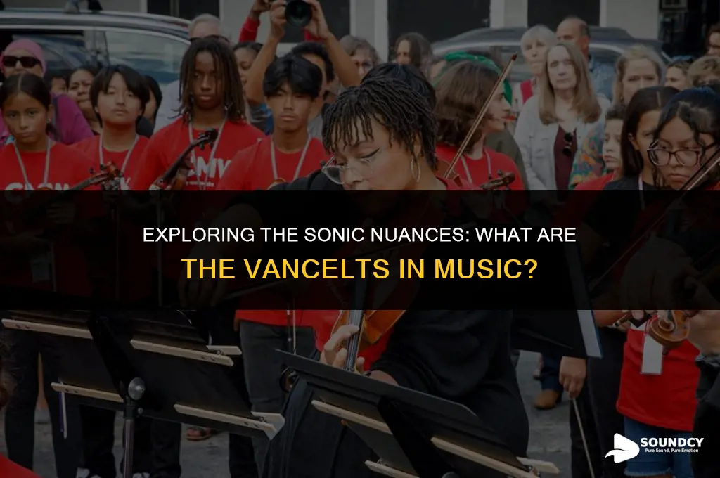 what are the vancelts in the sound of misic