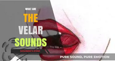 Understanding Velar Sounds: A Comprehensive Guide to Their Role in Speech