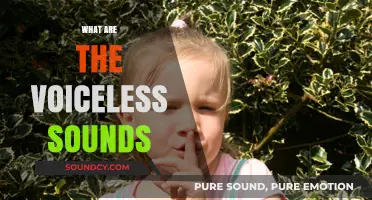 Understanding Voiceless Sounds: A Comprehensive Guide to Their Role in Speech