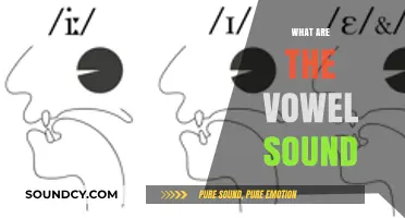 Exploring the Essence of Vowel Sounds: A Comprehensive Guide to Their Role in Language