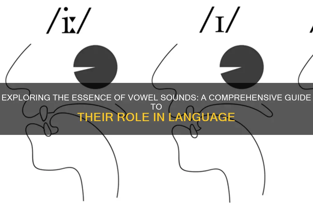 what are the vowel sound