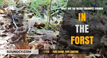 Unraveling the Mystery of Trumpets in the Forest: A Sonic Journey