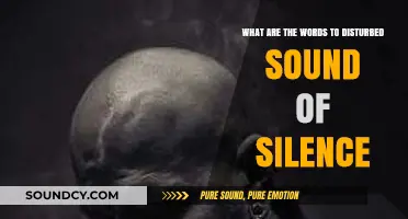Echoes of Discord: Unraveling the Lyrics to Disturbed's 'Sound of Silence