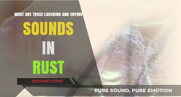 Rust's Emotional Palette: Decoding the Laughing and Crying Sounds