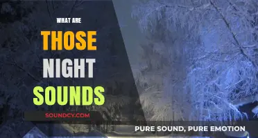 Unraveling the Mysteries of Nighttime Noises: What Are Those Sounds?