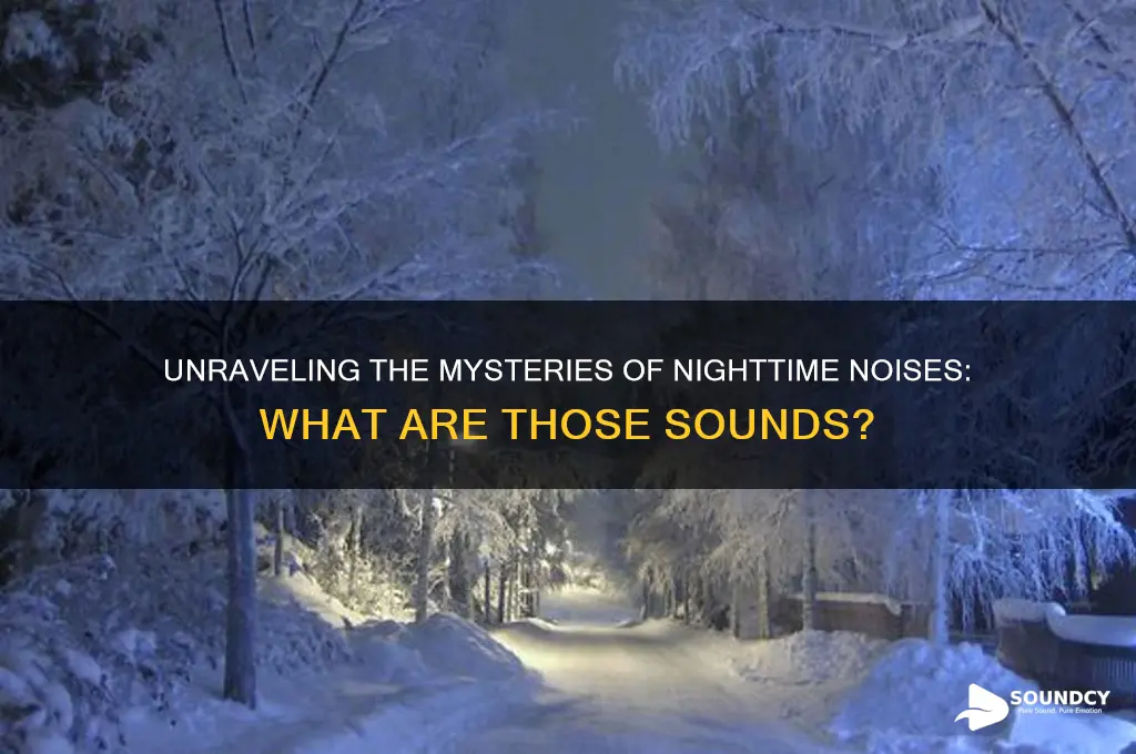 what are those night sounds