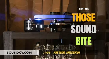 Decoding Sound Bites: Understanding Their Impact and Cultural Significance