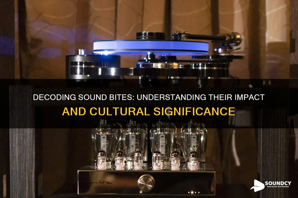 what are those sound bite