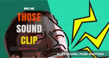 Unraveling the Mystery: What Are Those Sound Clips and Why They're Viral