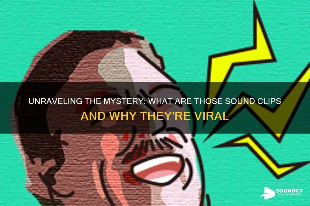what are those sound clip