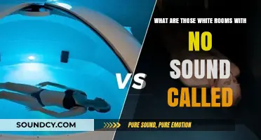 Exploring the Serenity: What Are Those White Rooms with No Sound Called?