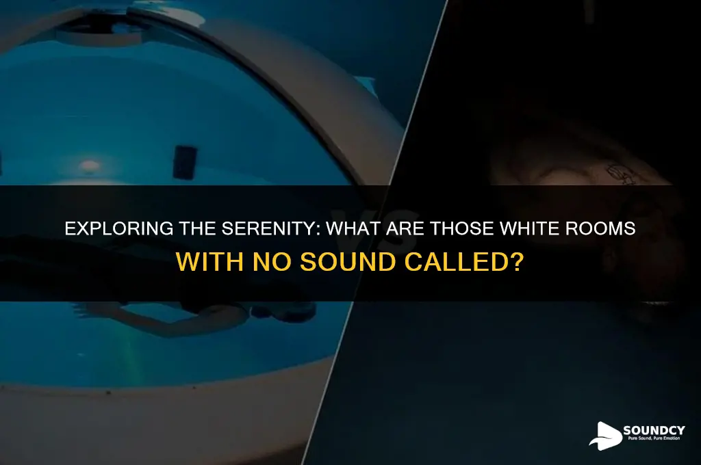 what are those white rooms with no sound called