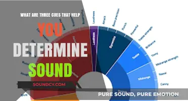 Decoding Audio Quality: Key Indicators for Discerning Sound