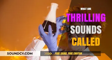 Unveiling the Science Behind Thrilling Sounds: What Are They Called?