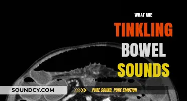 Understanding Tinkling Bowel Sounds: Causes, Significance, and When to Worry
