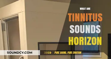 Understanding Tinnitus: Exploring the Sounds Beyond Your Hearing Horizon
