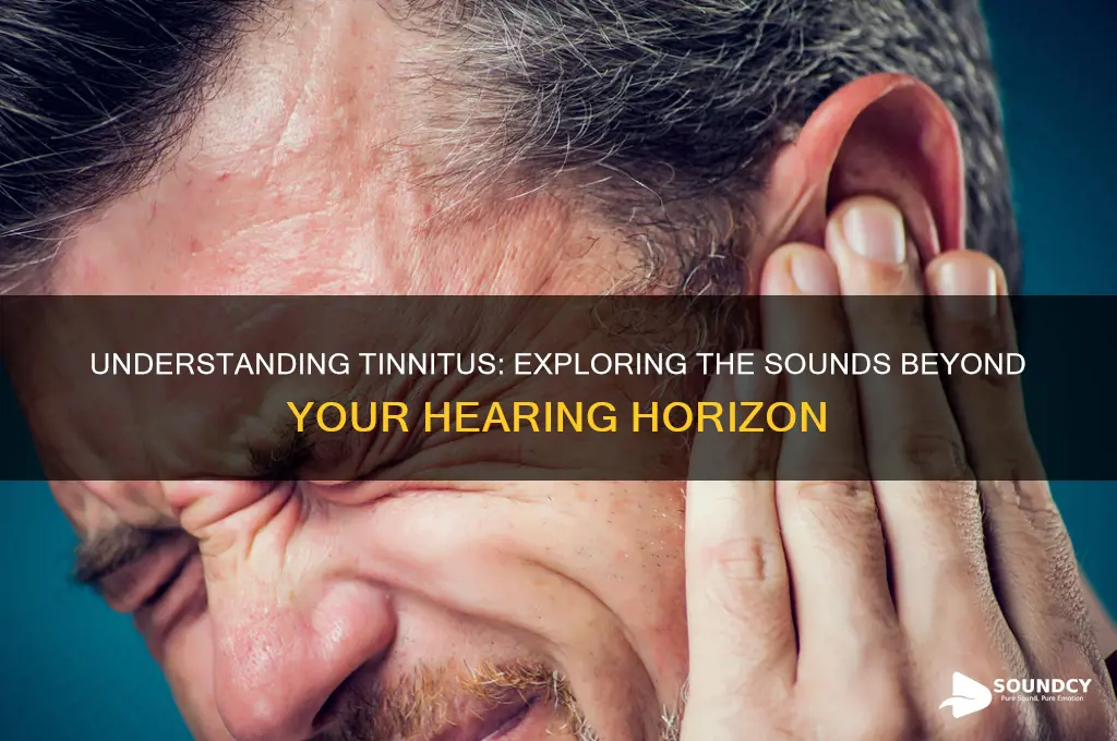 what are tinnitus sounds horizon
