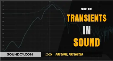 Understanding Transients in Sound: Key Elements and Their Impact