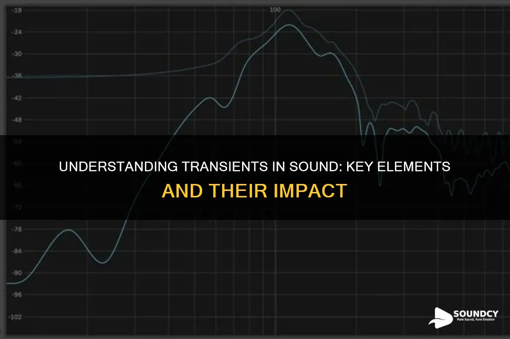what are transients in sound