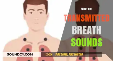 Understanding Transmitted Breath Sounds: Causes, Diagnosis, and Clinical Significance