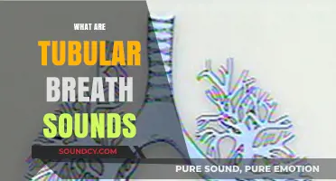 Understanding Tubular Breath Sounds: Causes, Symptoms, and Clinical Significance