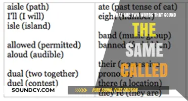 Exploring Homophones: Words That Sound Alike but Mean Different Things