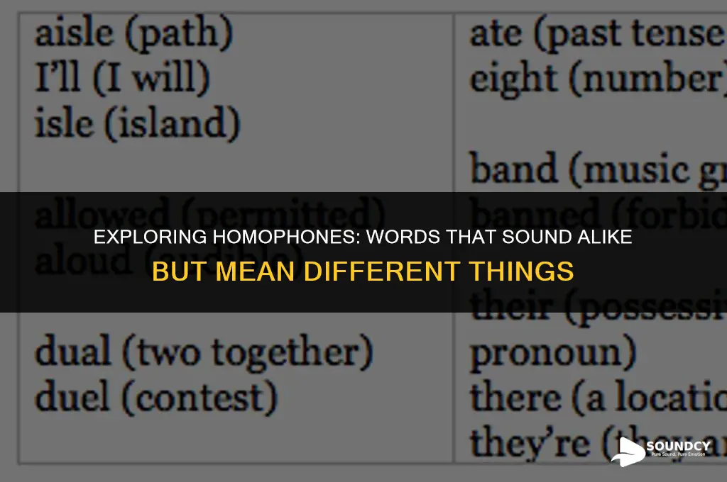 what are two words that sound the same called