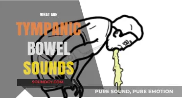 Understanding Tympanic Bowel Sounds: Causes, Significance, and Clinical Insights