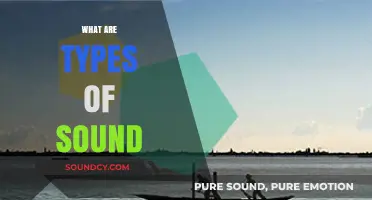 Exploring the Diverse Types of Sound and Their Unique Characteristics