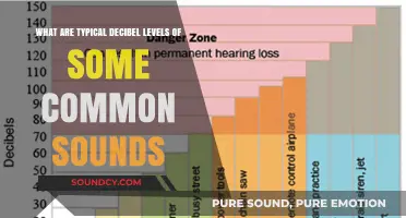 Exploring the Sonic Spectrum: Decibel Levels of Everyday Sounds