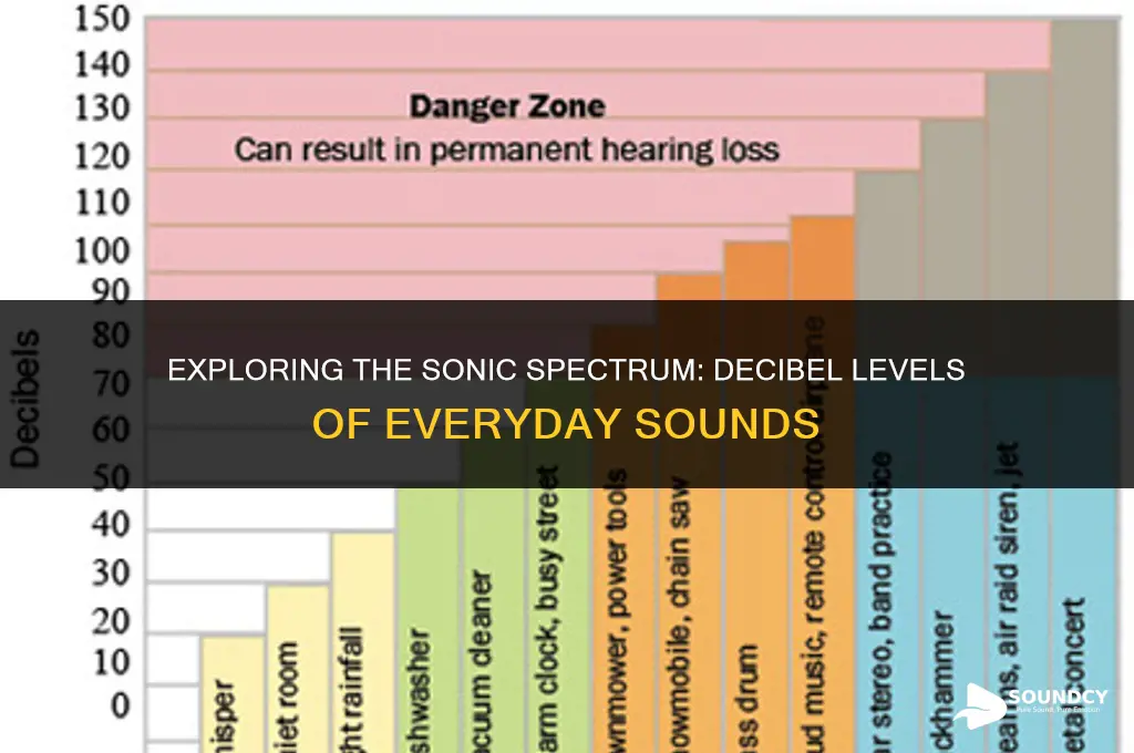 what are typical decibel levels of some common sounds