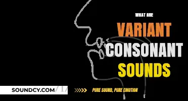 Exploring Variant Consonant Sounds: Understanding Phonetic Variations in Speech
