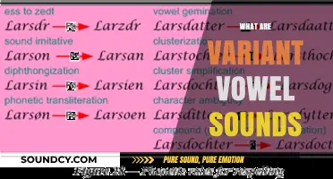 Exploring Variant Vowel Sounds: Understanding Phonetic Shifts in English Pronunciation