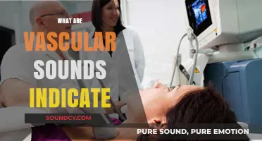 Understanding Vascular Sounds: What They Indicate and Why They Matter
