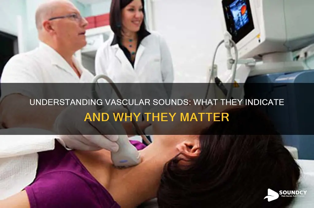 what are vascular sounds indicate