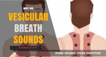 Understanding Vesicular Breath Sounds: Causes, Characteristics, and Clinical Significance