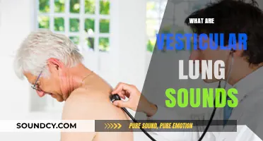 Understanding Vesticular Lung Sounds: Causes, Symptoms, and Clinical Significance