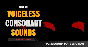 Understanding Voiceless Consonant Sounds: A Comprehensive Guide to Their Role in Speech