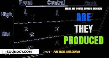Exploring Vowel Sounds: The Art of Articulation and Resonance